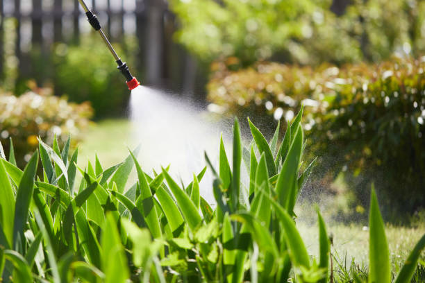 24/7 Emergency Mosquito Control experts in Broadview Heights, OH