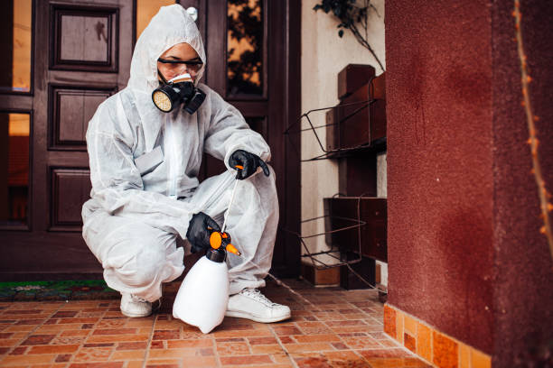 Reliable Mosquito Control contractor in Broadview Heights, OH by Show Me Pest Control